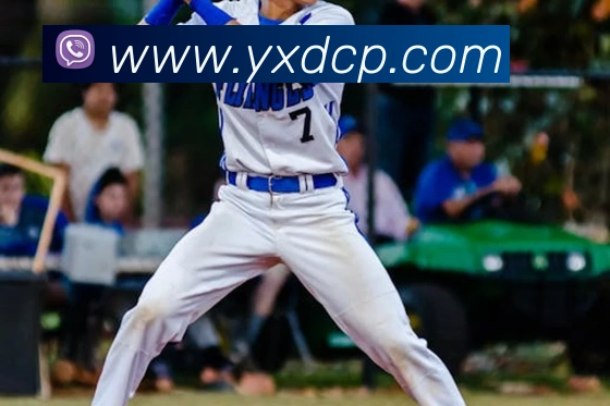 中彩网发展历程